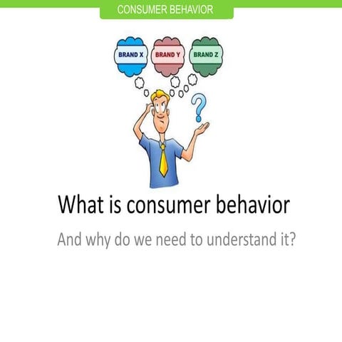 Consumer behavior   2