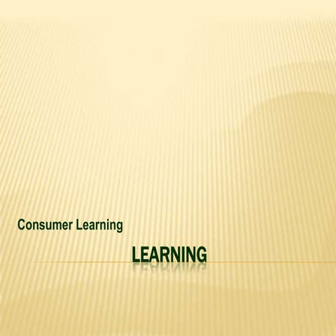 Consumer Behaviour   