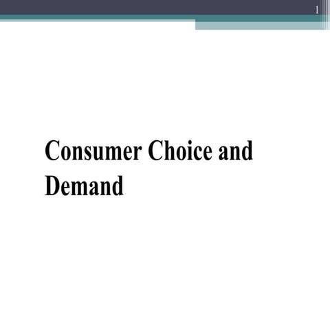 Consumer choice and demand