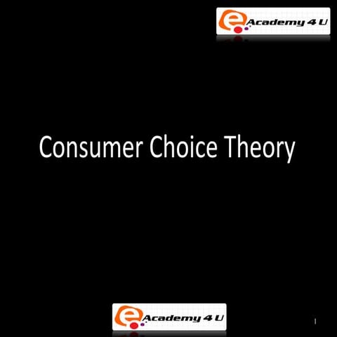 Consumer choice theory