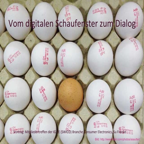 Vom digitalen Schaufenster zum Dialog - Consumer Electronic