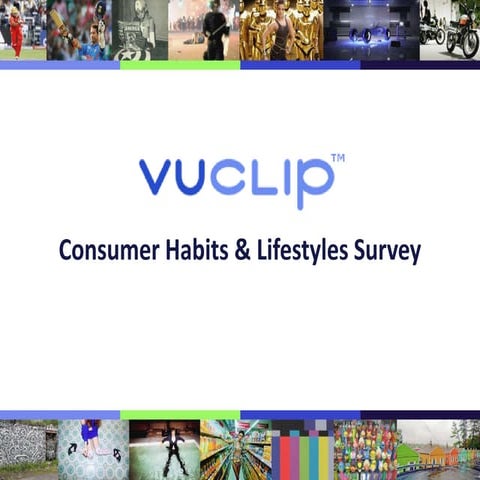 Consumer Habits Survey Summary - USA