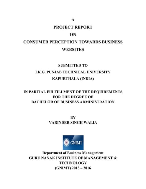 Consumer perception towards business websites Mba project 