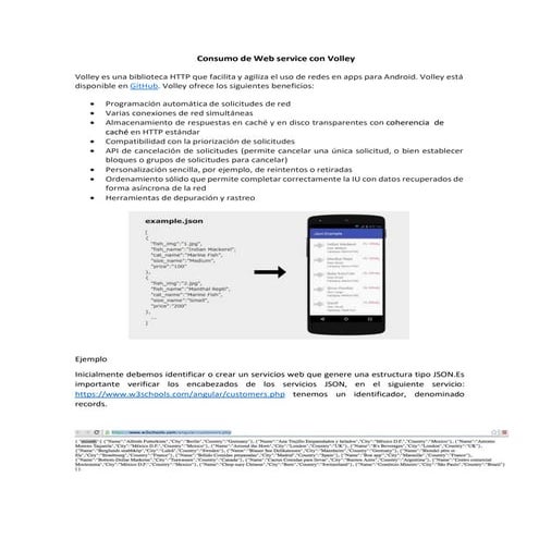 Consumo de web service con volley (api rest) | PDF
