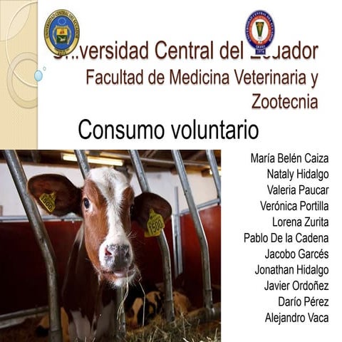 Consumo voluntario en bovinos | PPTX