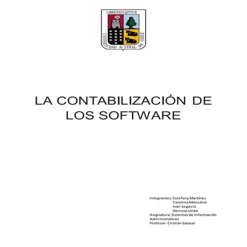Contabilización de los software 