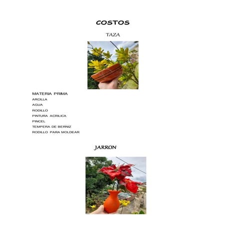 Contabilizacion de costos