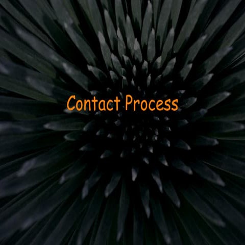 Contact Process