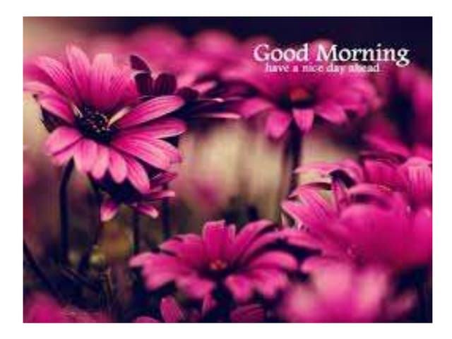 Contacts and Contours