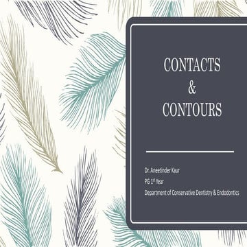 Contacts and Contours in Conservative Dentistry