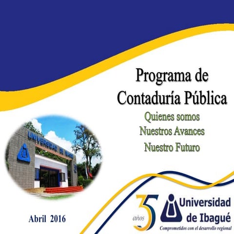 Contaduria publica