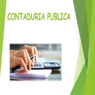 Contaduria publica