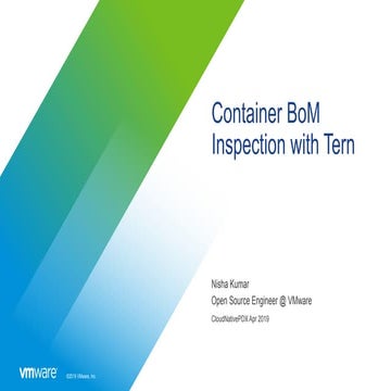 Container BoM Inspection with TERN