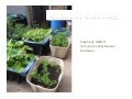Growing organic vegetables in containers