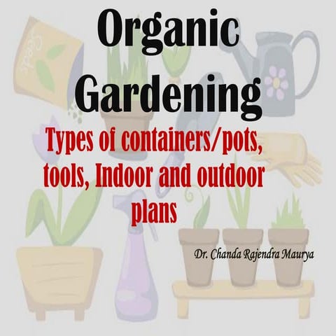 Container, indoor and outdoor plants