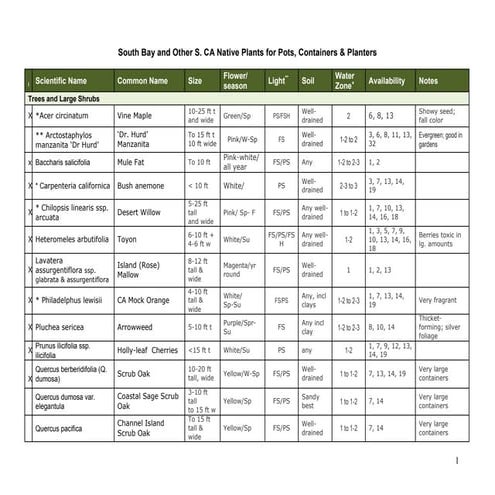Container plants 1-11