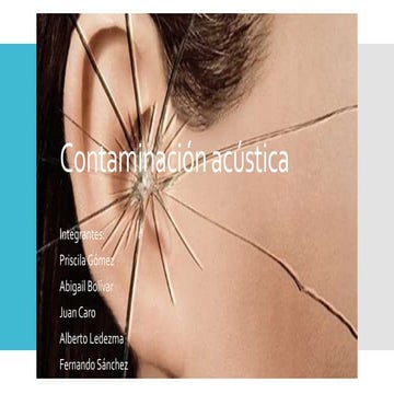 Contaminación Acústica
