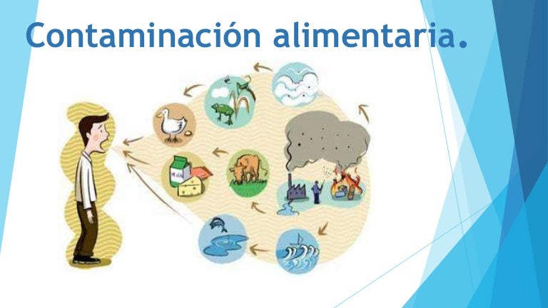 Contaminación alimentaria