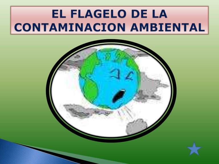 Contaminación ambiental