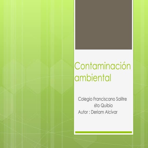 Contaminación ambiental dj