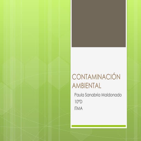 Contaminación ambiental
