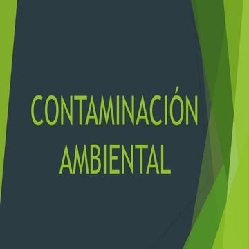 Contaminación ambiental