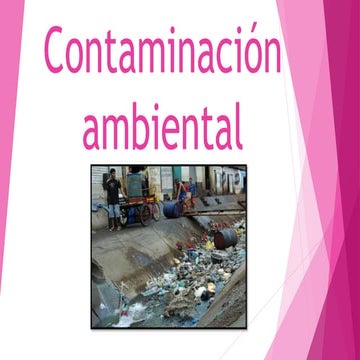 Contaminación ambiental 2