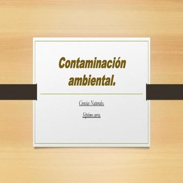 Contaminación ambiental 