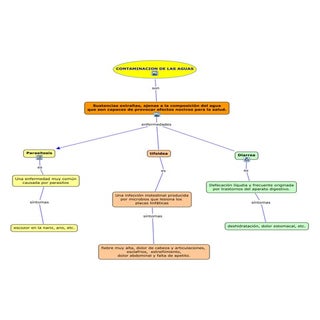MAPA CONCEPTUAL DE CONTAMINACIÓN DE...