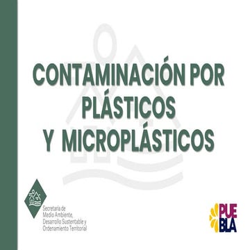 CONTAMINACIÓN POR PLÁSTICOS Y  MICROPLÁSTICOS F.pdf