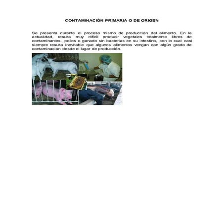 Contaminación primaria o de origen