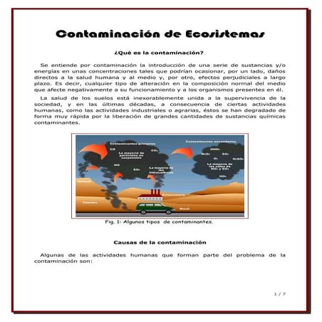 Contaminacion