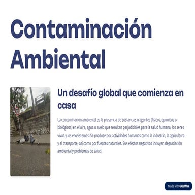 Contaminacion-Ambiental 11-6.pdf(diapositivas)