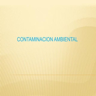 Contaminacion Ambiental