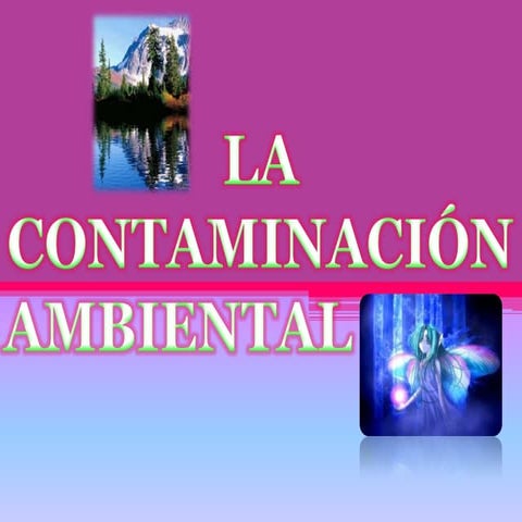 Contaminacion ambiental