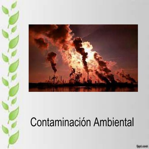 Contaminacion ambiental