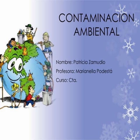 Contaminacion ambiental