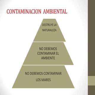 c<Contaminacion  ambiental