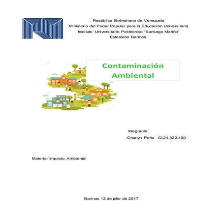 Contaminacion ambiental