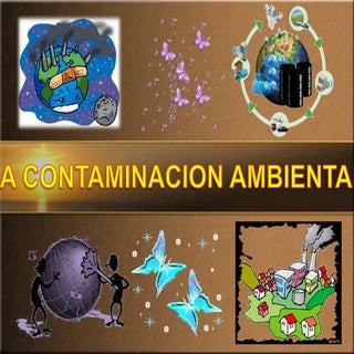 Contaminación ambiental - Diapositivas