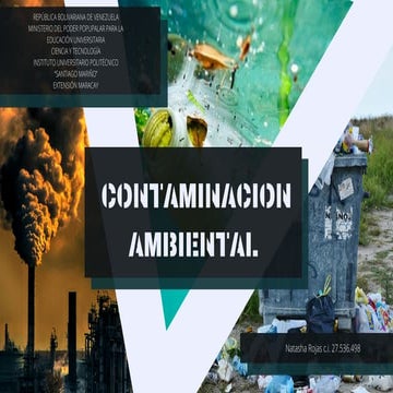 Contaminacion ambiental Por Natasha Rojas