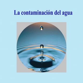 Contaminacion Del Agua