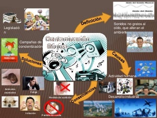 Contaminacion sonica oscar