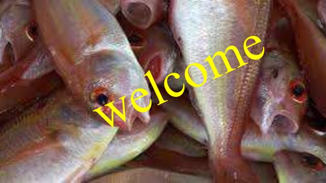 Contamination, preservation, & spoilage of fish