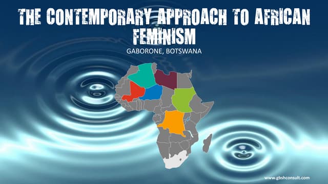 Contemporary approach to african feminism by Prof Tal Edgars