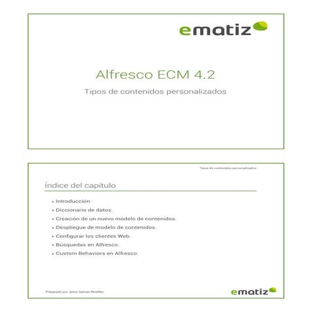 Contenidos personalizados en alfresco ecm