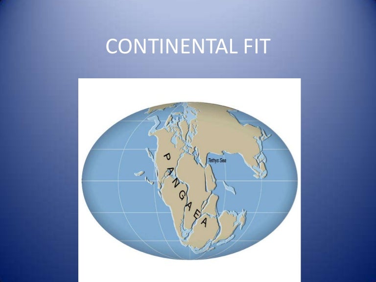 Continental Fit
