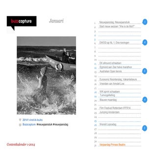 Buzzcapture Contentkalender 2014