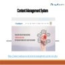 Content Management System.pptx