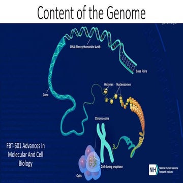 Content of the genome